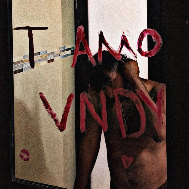 T Amo Vndy cover art