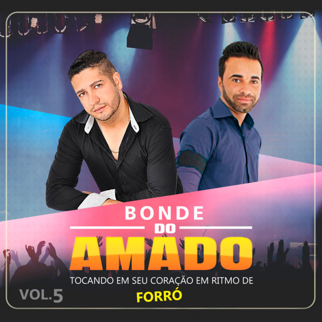 Tocando Em Seu Coração Em Ritmo De Forró, Vol. 5 cover art