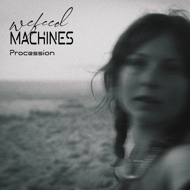 We Feed Machines — Disaster album art