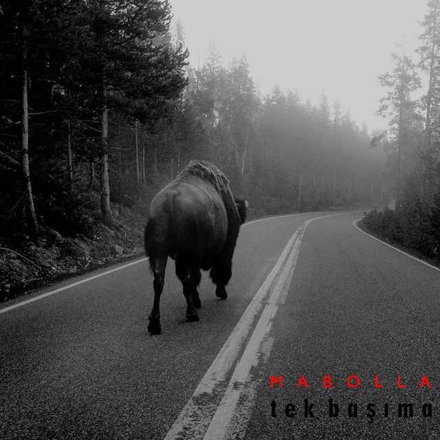 Tek Başıma cover art