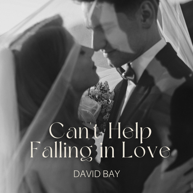 Обкладинка: Can't Help Falling in Love (Wedding Song) — David Bay Music