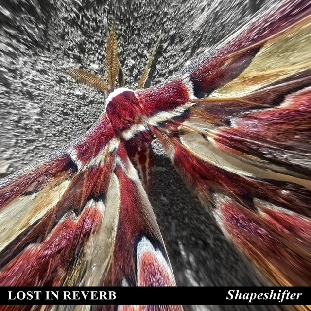 Shapeshifter