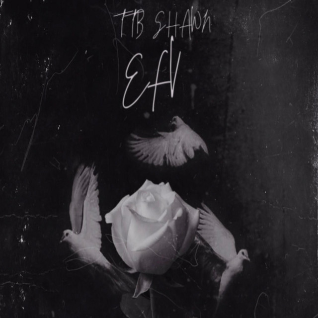 EFV. Everything. For. Von cover art