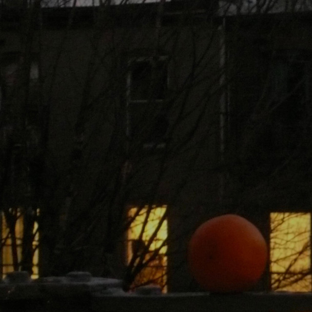 Tangerines cover art
