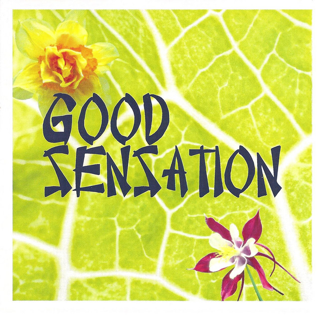 Good Sensation cover art