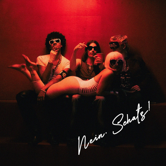 NEIN SCHATZ cover art