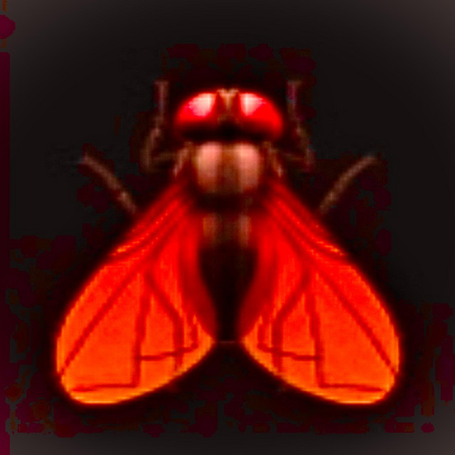 flyswatter cover art