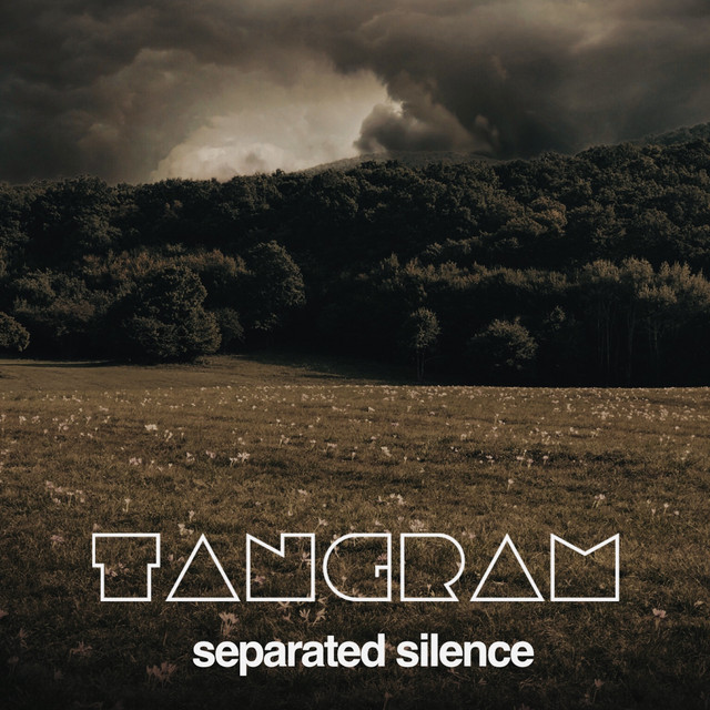 Separated Silence cover art