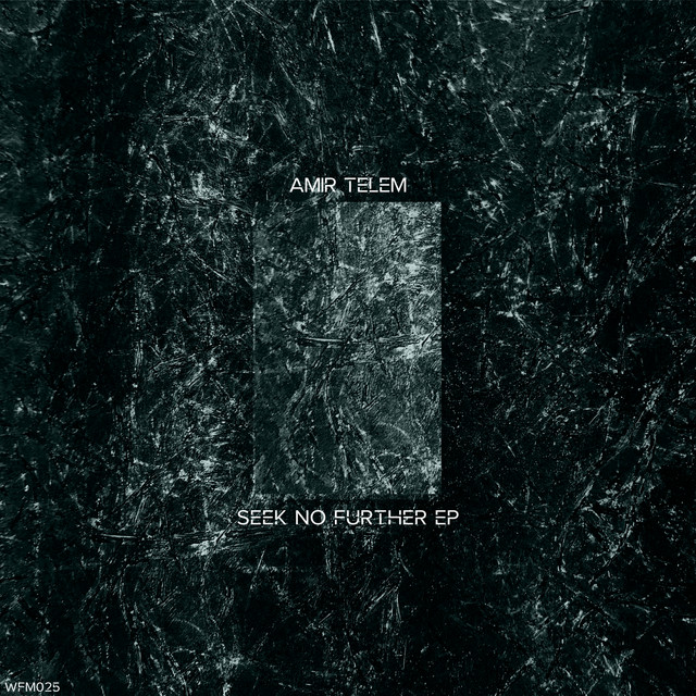 Cover art for Amir Telem — Seek No Further