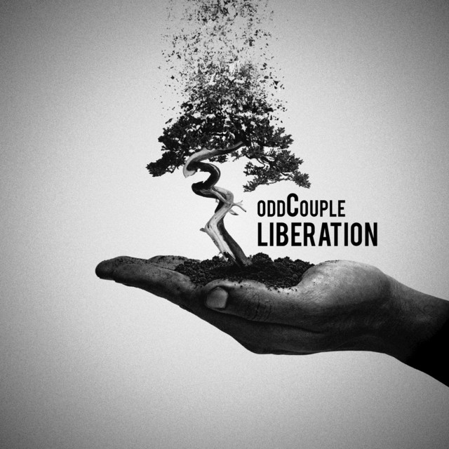 Liberation cover art