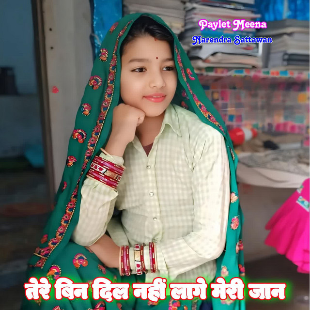 Tere Bin Dil Nahi Lage Meri Jaan album image