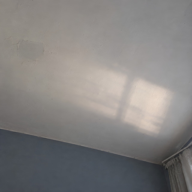 Ceiling