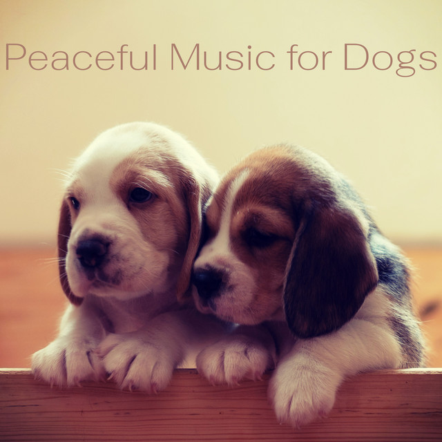 Peaceful Music for Dogs cover art
