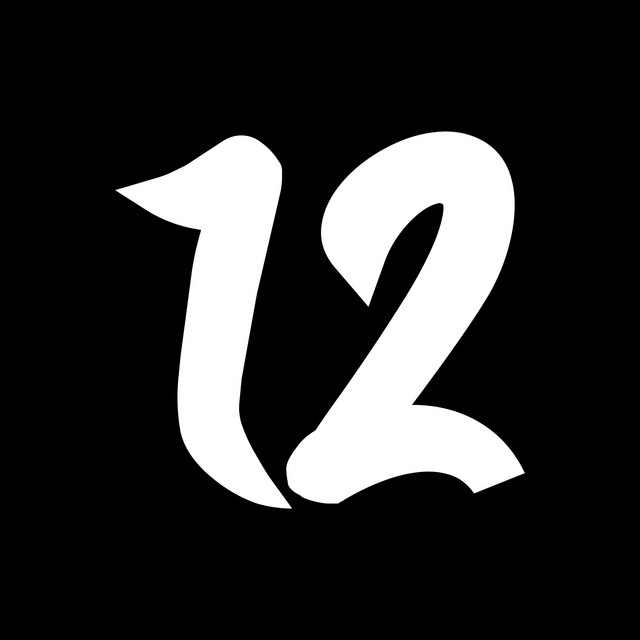 12 cover art