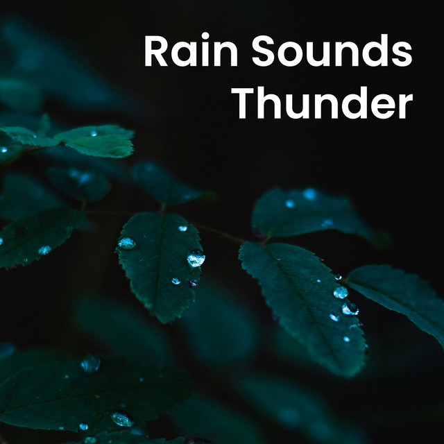 Rain Sounds Thunder