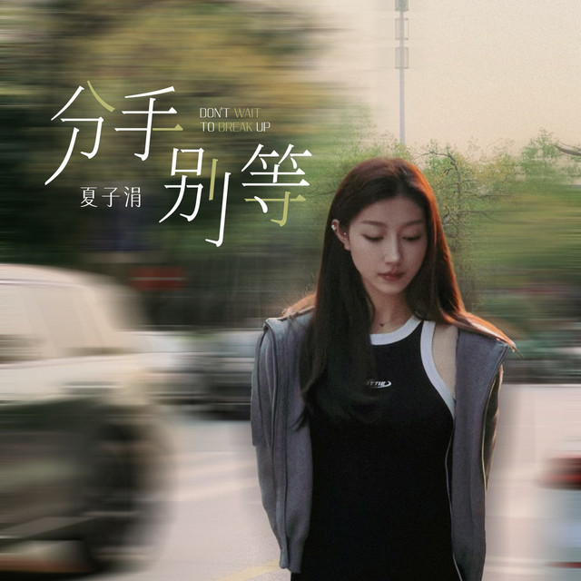 分手别等 - song and lyrics by 夏子涓 | Spotify
