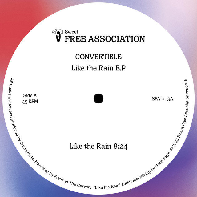 Like The Rain cover art