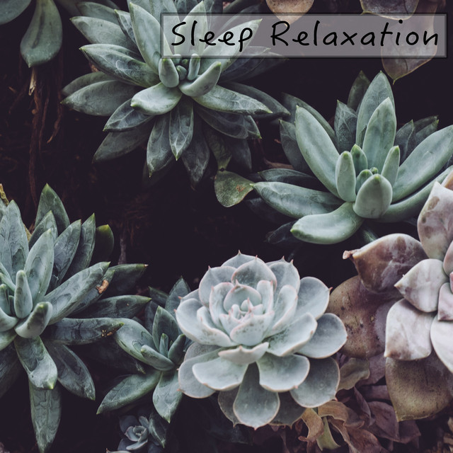 Sleep Relaxation - Album by Nature Sounds | Spotify