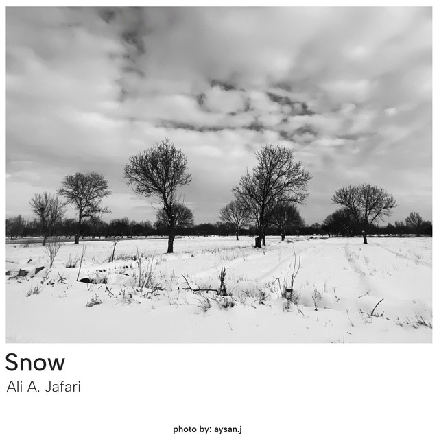 Snow cover art
