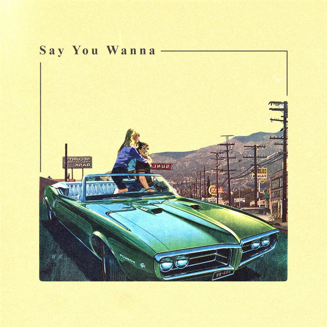 Say You Wanna cover art