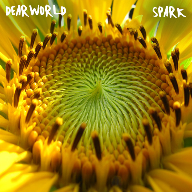 Spark cover
