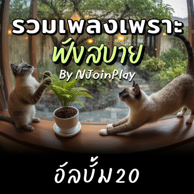 เพลงเพราะๆ ฟังสบายๆ อัลบั้ม 20 cover art