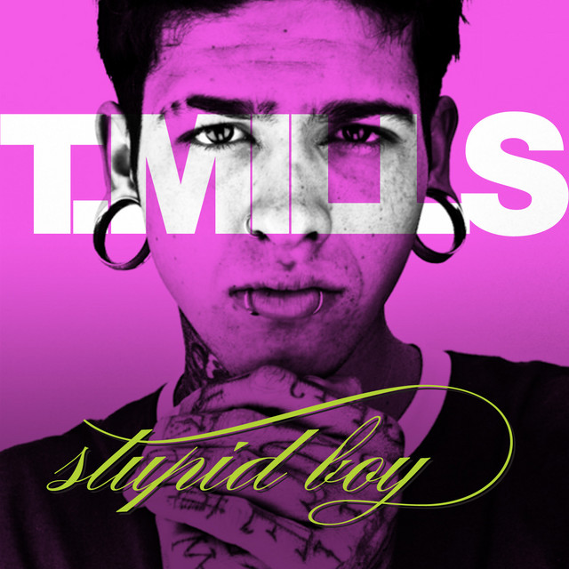 Cover of Stupid Boy by Travis Mills