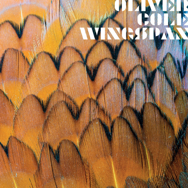 Wingspan cover