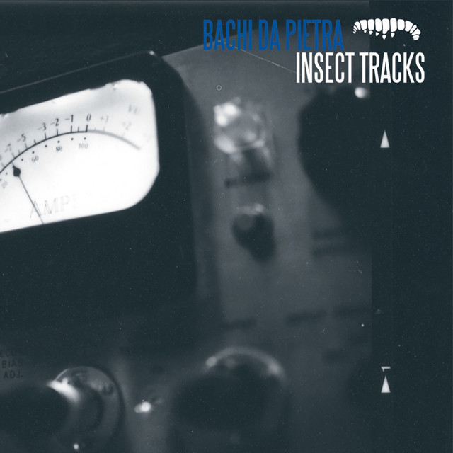 Insect Tracks cover art