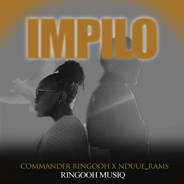 Impilo - song and lyrics by Commander RingooH, Nduue_Rams | Spotify