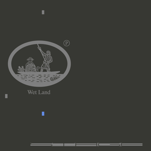 Wet Land cover art