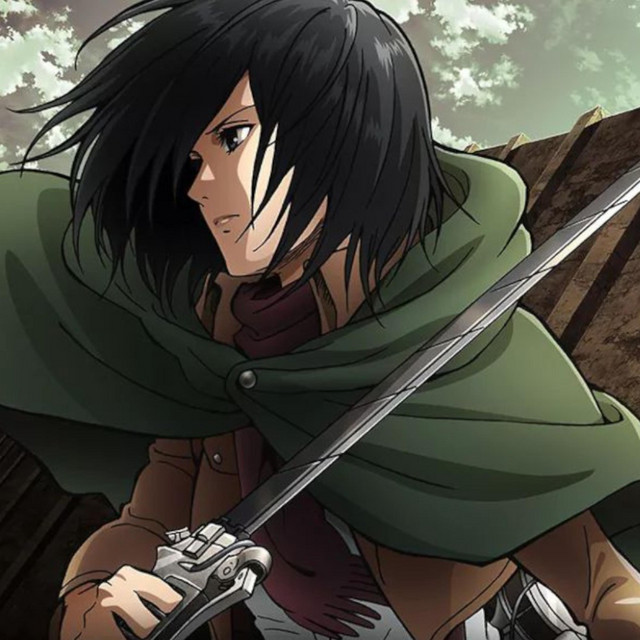 Mikasa cover art