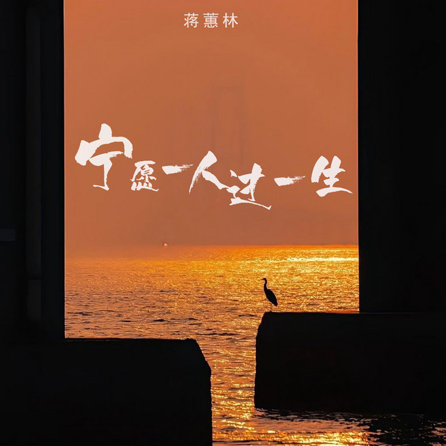 宁愿一人过一生 - DJ默涵版