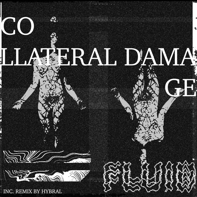 Album art for Fluid