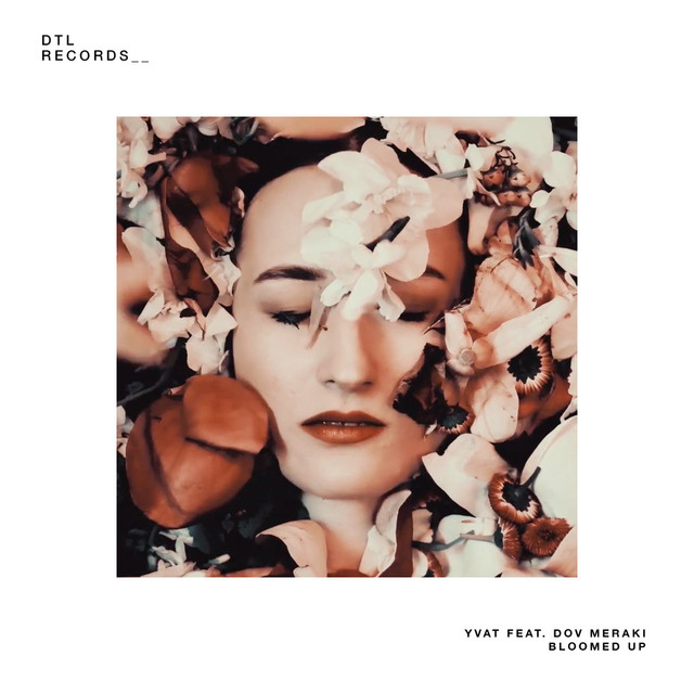 Bloomed Up cover