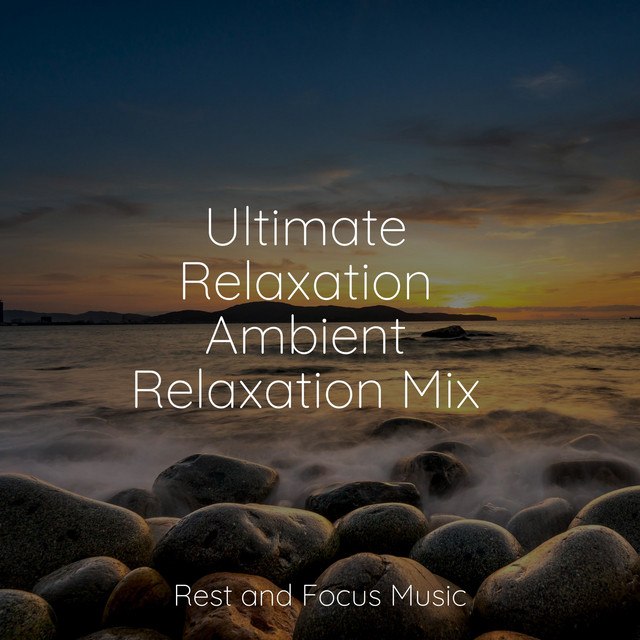 Ultimate Relaxation Ambient Relaxation Mix - Album by The White Noise ...