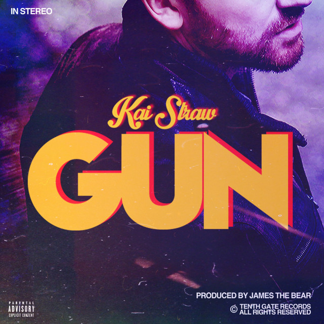 GUN cover art