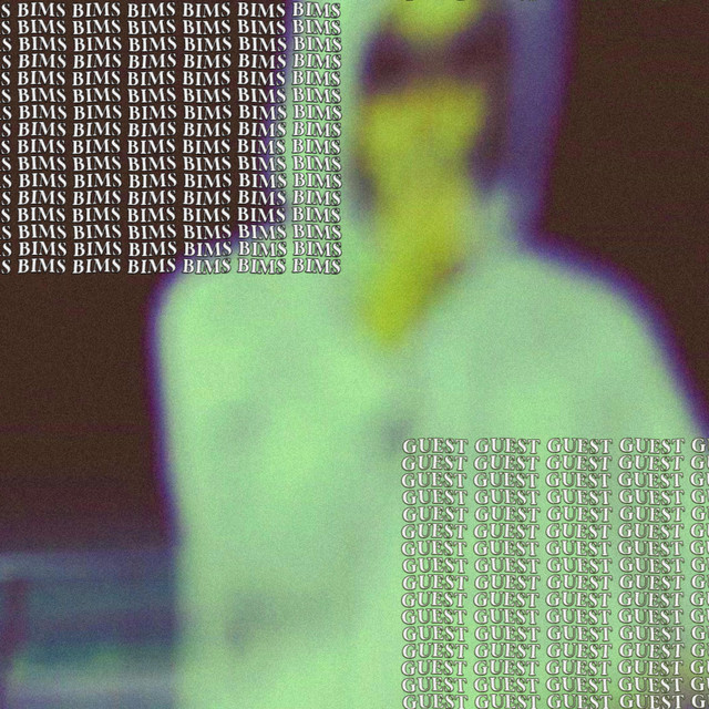 Guest cover art