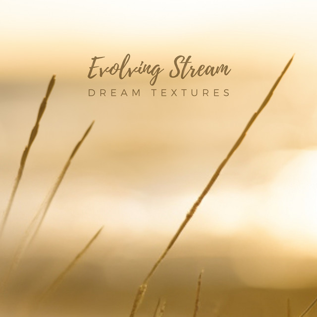 Dream Textures by Evolving Stream