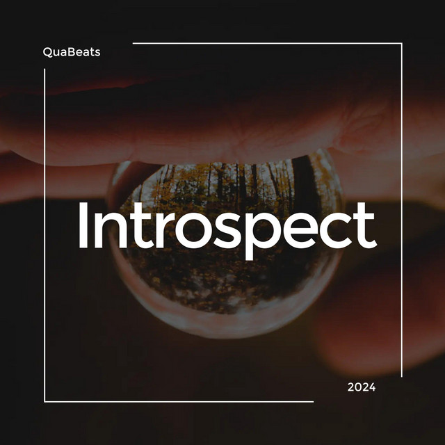 Introspect cover art