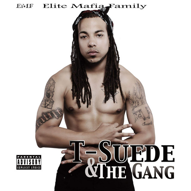 T-Suede & the Gang cover art