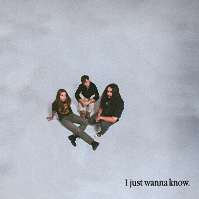 I Just Wanna Know cover art