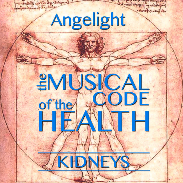 The Musical Code of the Health - Kidneys cover