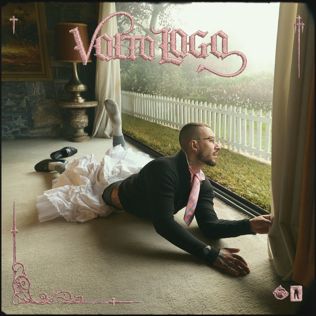 Capa de Volto Logo - CHAMELEO