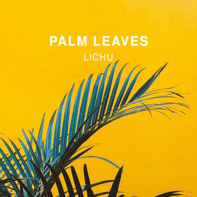 Palm Leaves