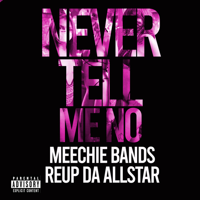 Never Tell Me No album image