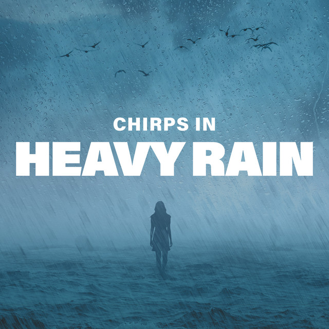 Chirps in Heavy Rain cover art