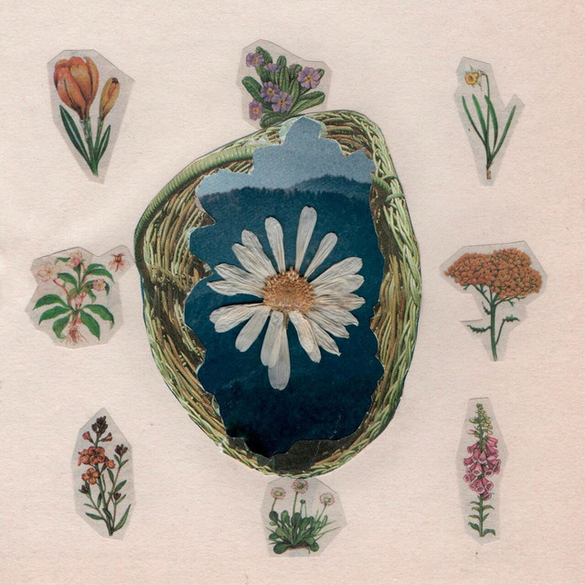 Déjame Quererte cover art