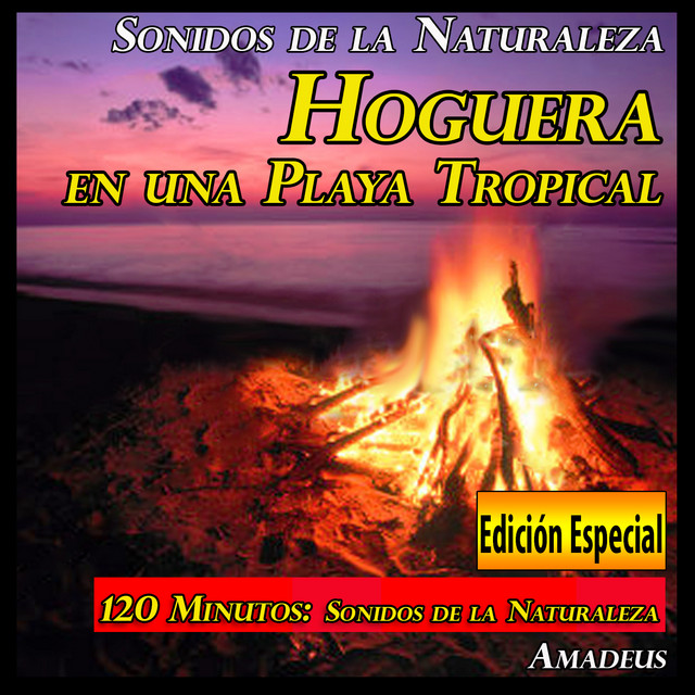 Hoguera en una Playa Tropical: Sonidos de la Naturaleza: Edición Especial cover art