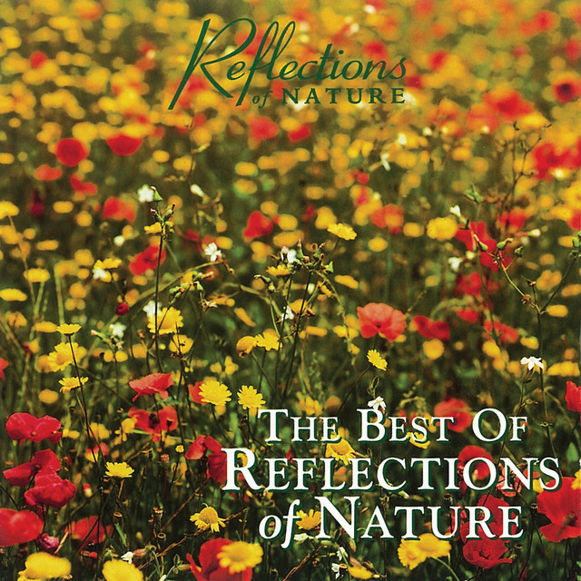 Reflections of Nature Photo